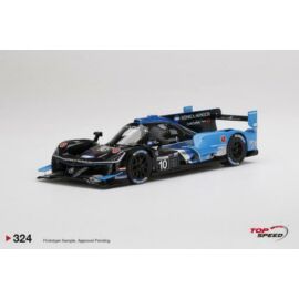 Top Speed,TS0324,1:18
